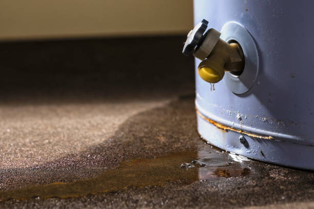Best Fire Damage Restoration  in Wyndmoor, PA