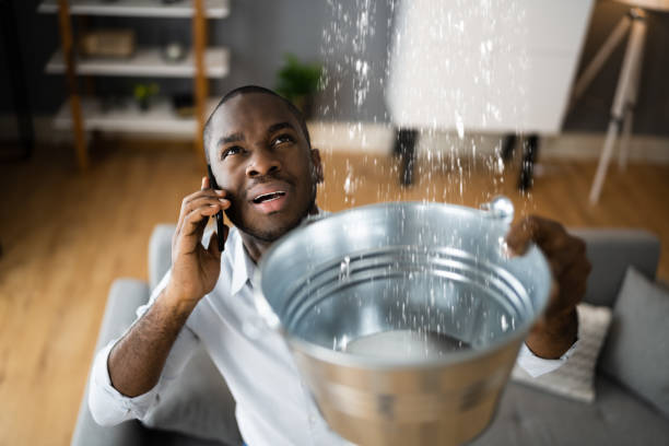 Best Local water damage restoration  in Wyndmoor, PA