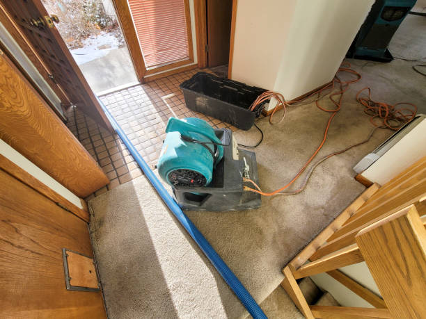 Best Professional water damage repair  in Wyndmoor, PA