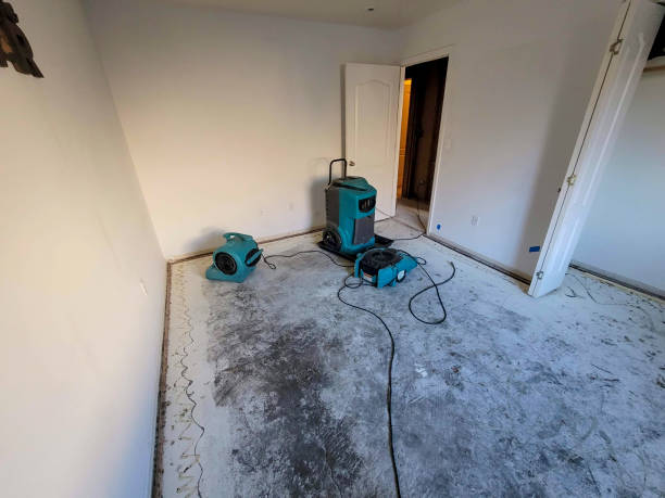 Best 24-hour water damage restoration  in Wyndmoor, PA