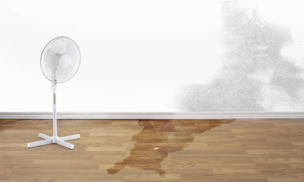 Best Flooded house restoration  in Wyndmoor, PA