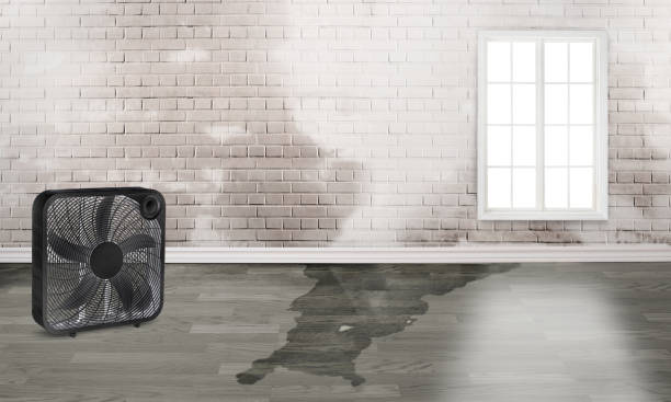 Best Water damage restoration services  in Wyndmoor, PA