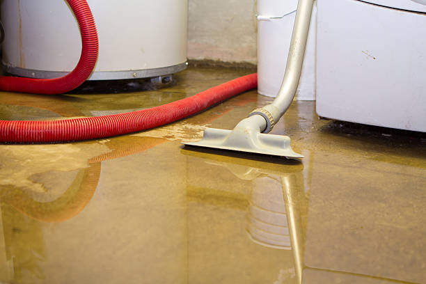 Best Carpet water damage restoration  in Wyndmoor, PA