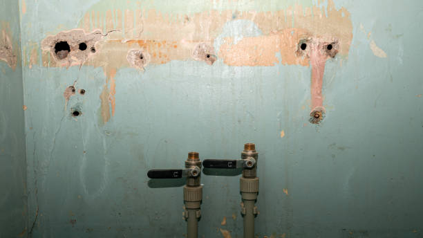 Best Water damage restoration near me  in Wyndmoor, PA